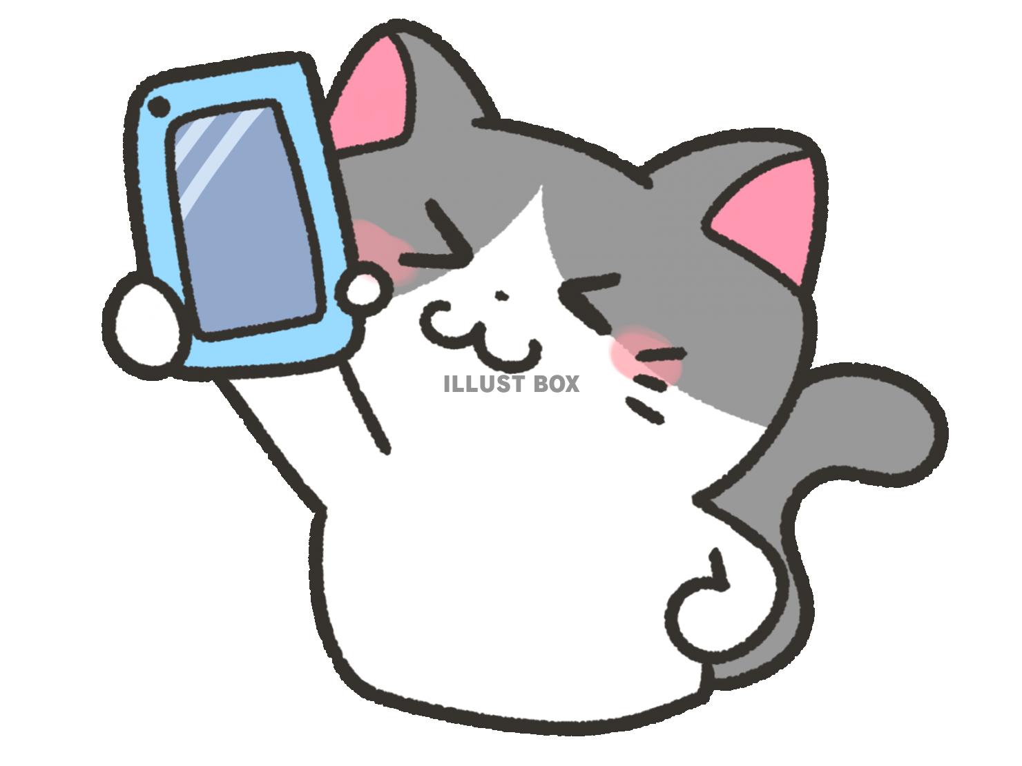 スマホを掲げる猫