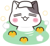 癒しのゆず湯＜ぶち猫　にゃんこ＞