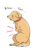 体調不良でお腹が痛い犬