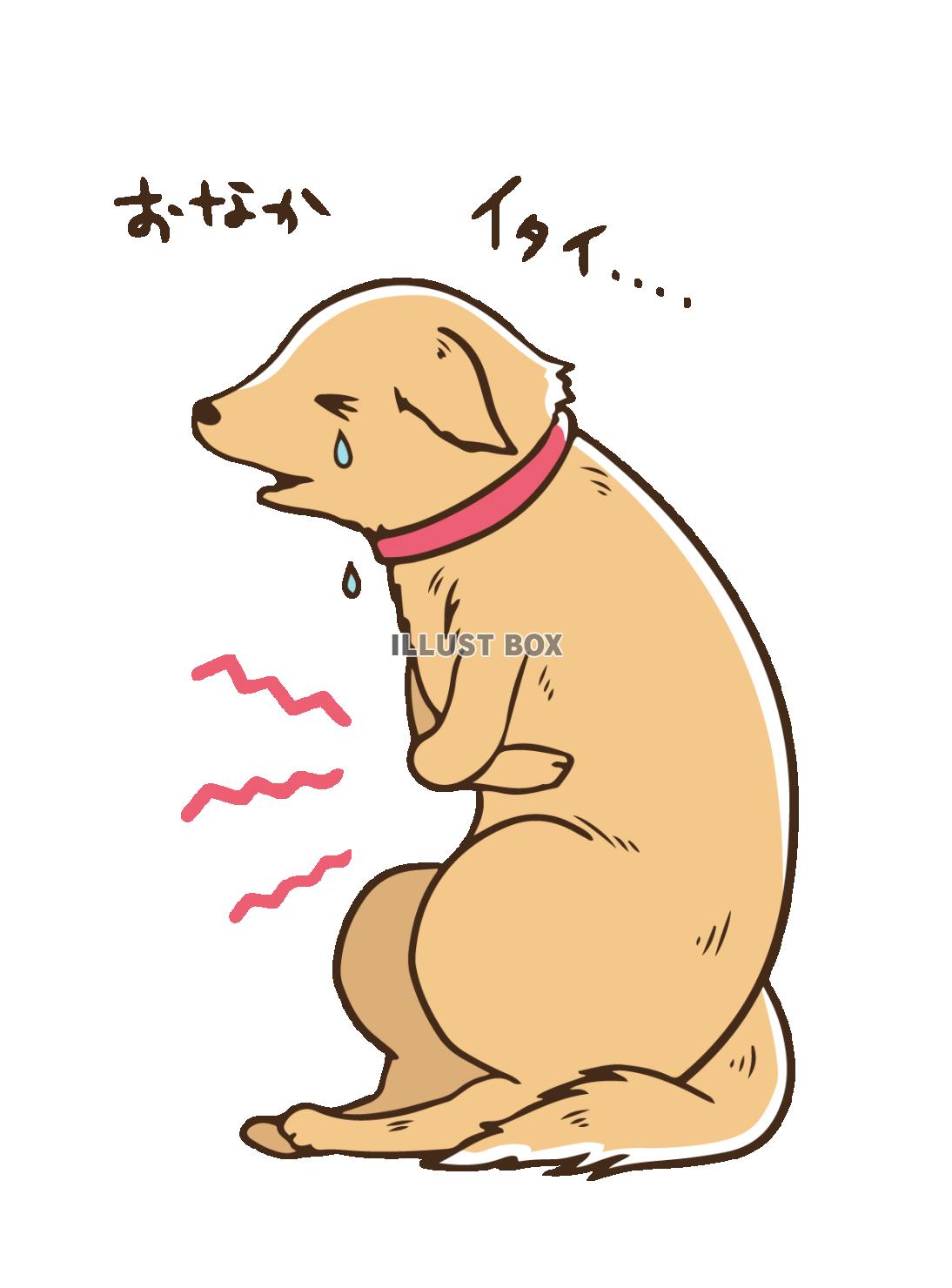 無料イラスト 体調不良でお腹が痛い犬