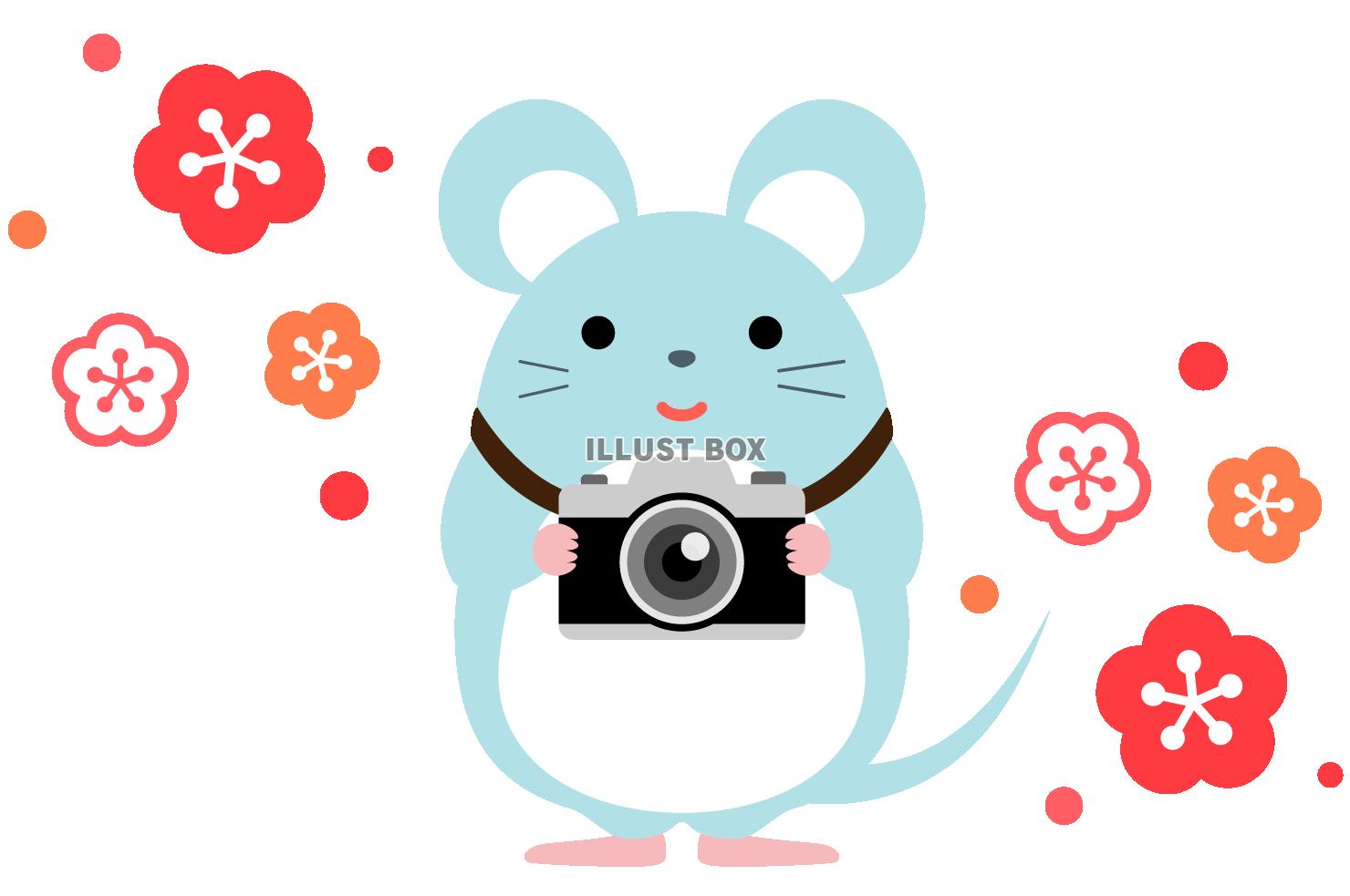 無料イラスト カメラを持ったネズミと梅の花