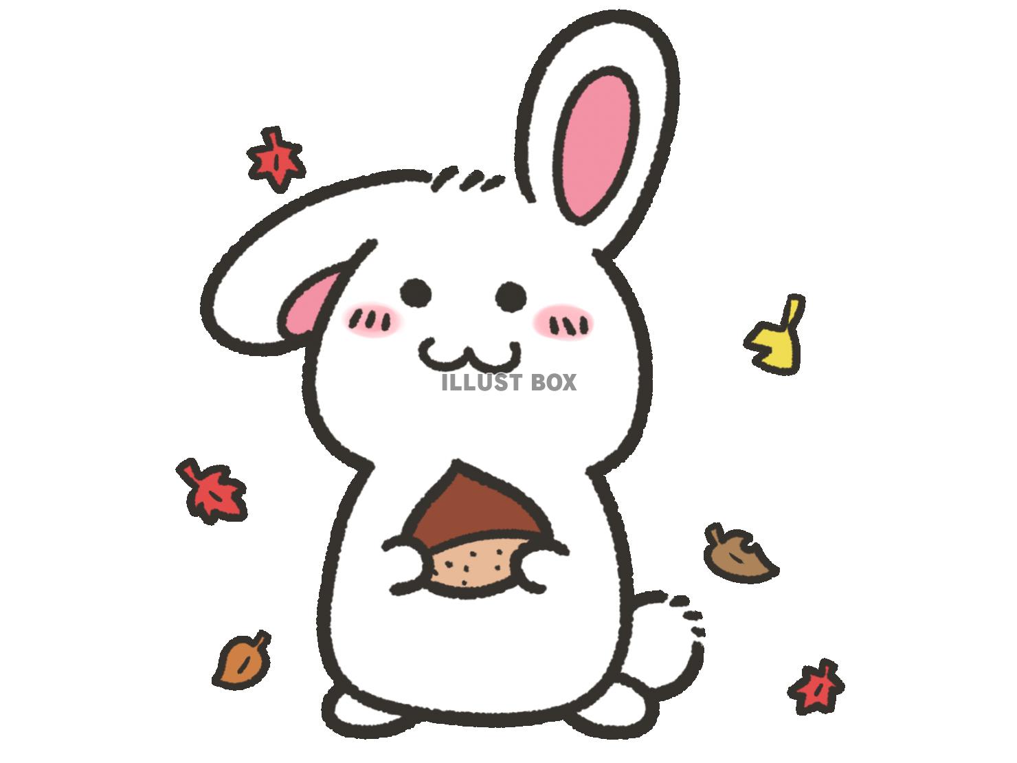 無料イラスト 栗を持つかわいいウサギ