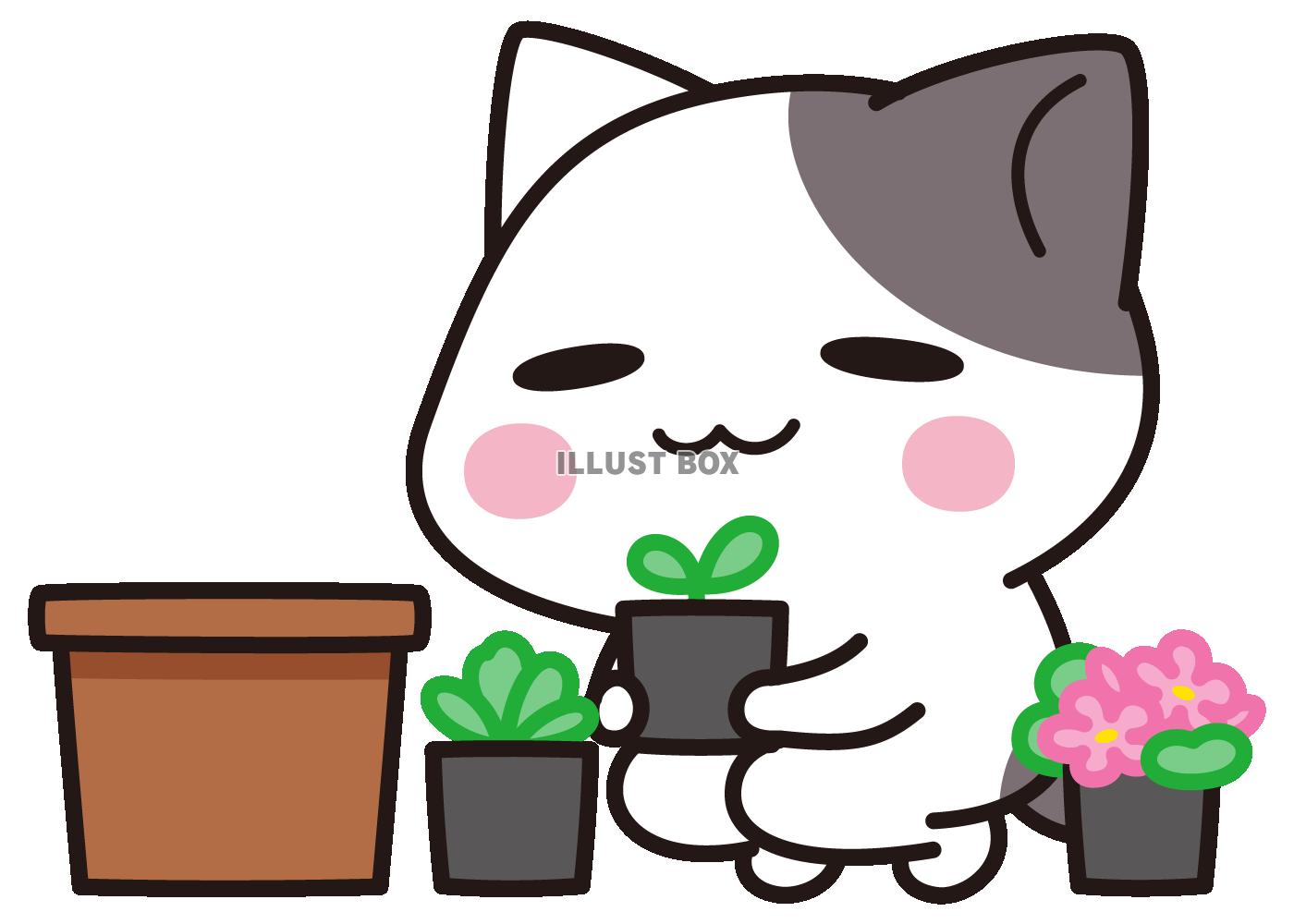 無料イラスト 寄せ植えにしよう ぶち猫 にゃんこ