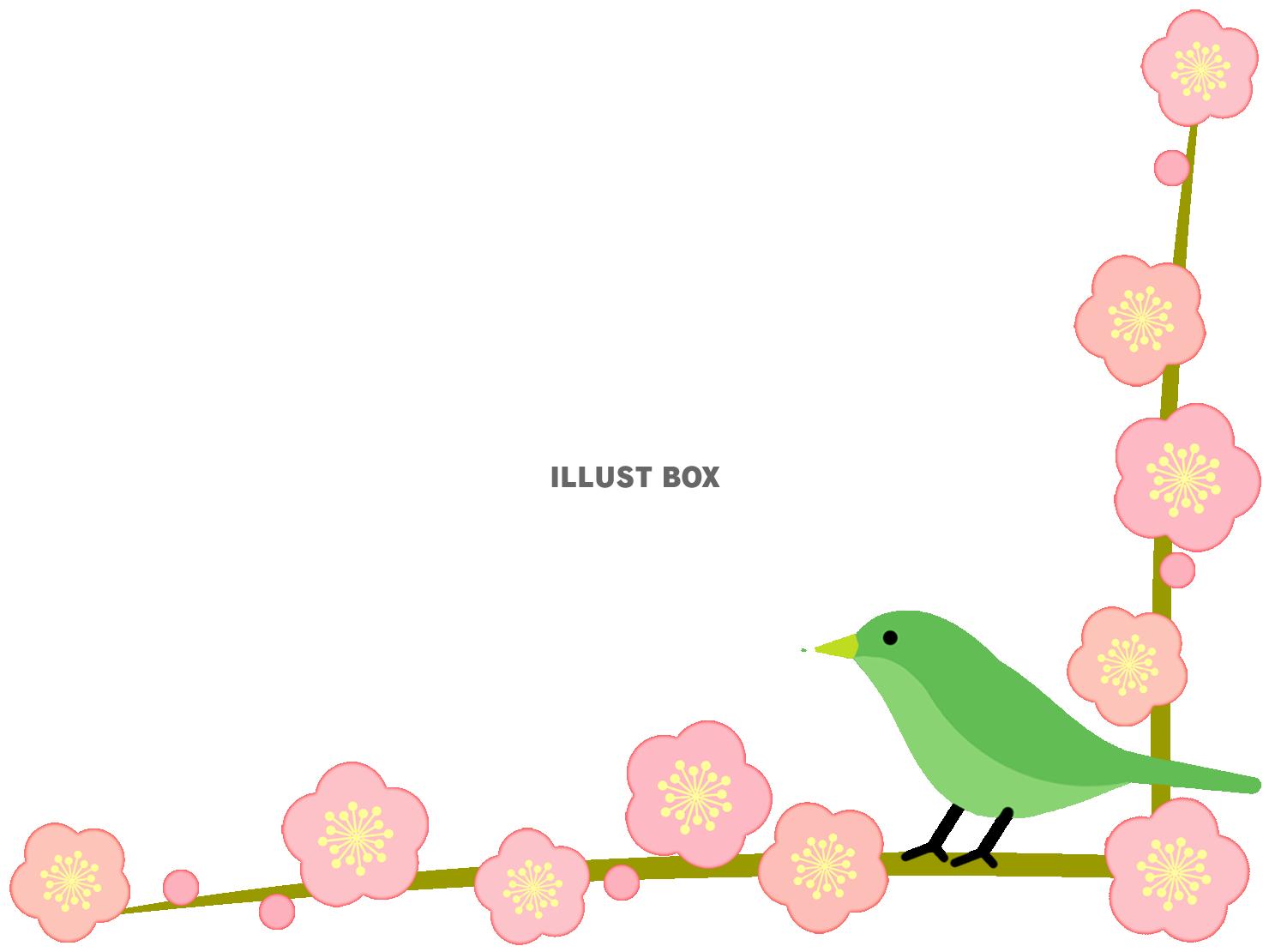 無料イラスト 梅に鶯フレーム花模様飾り枠素材イラスト 透過png