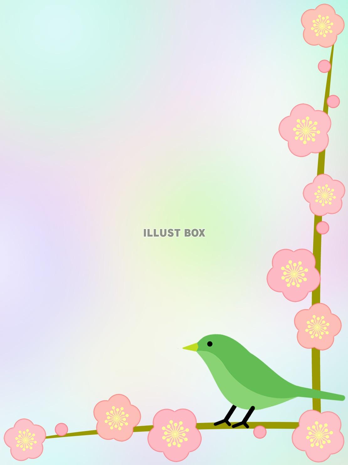 無料イラスト 梅に鶯フレーム花模様飾り枠素材イラスト ベクターあり