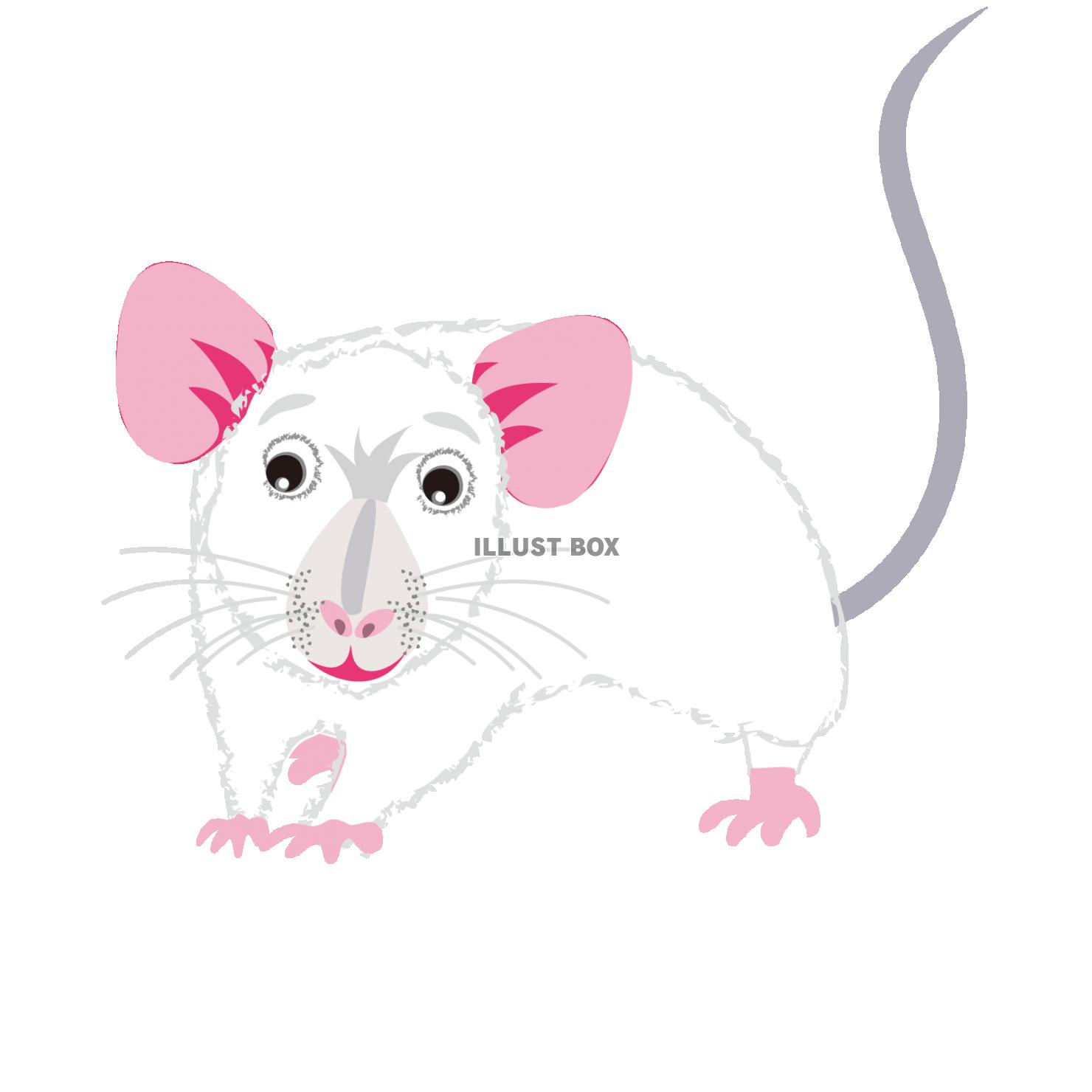 無料イラスト 白いネズミのキャラクターのイラストpng