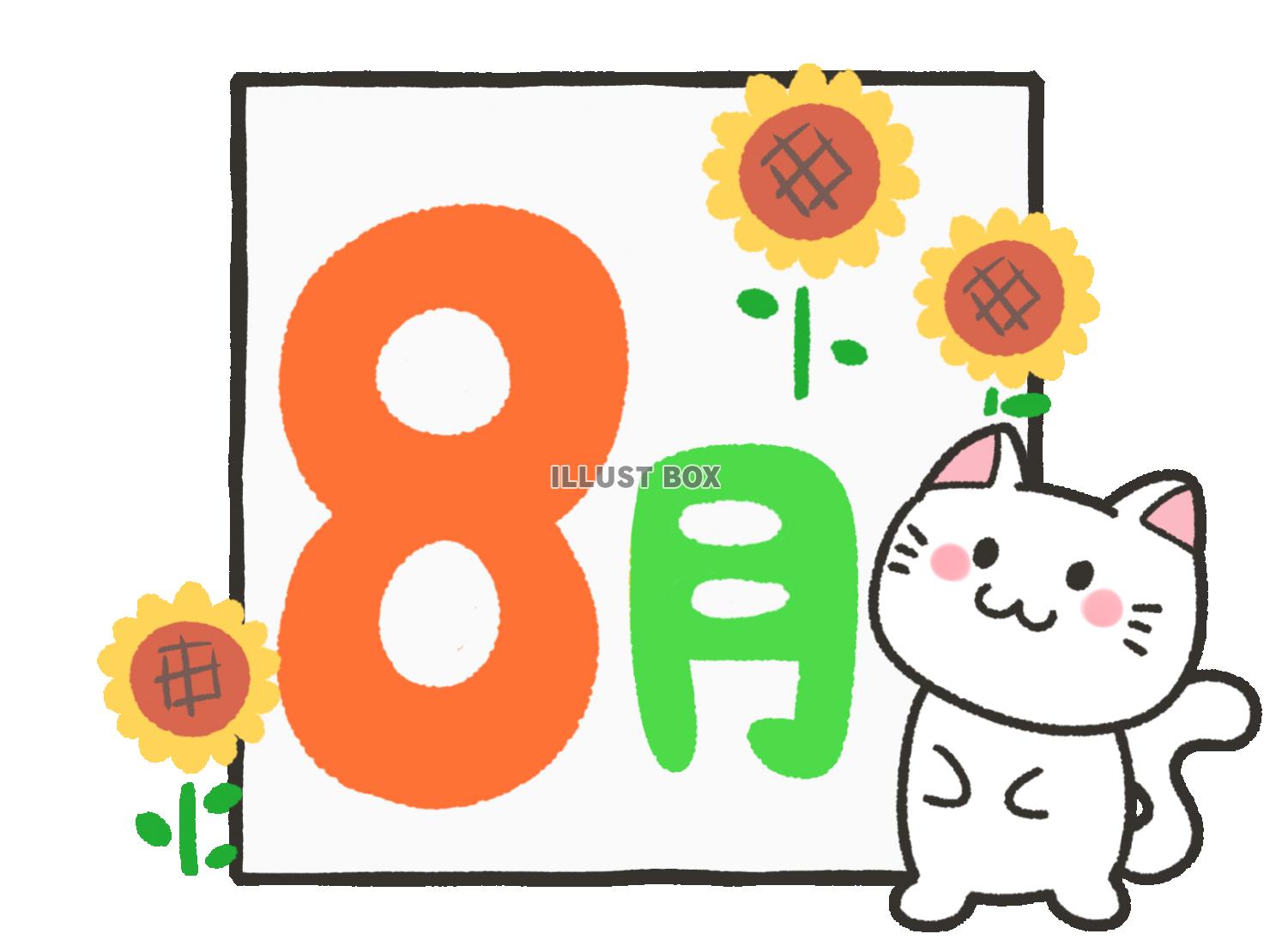 無料イラスト 猫と八月の文字