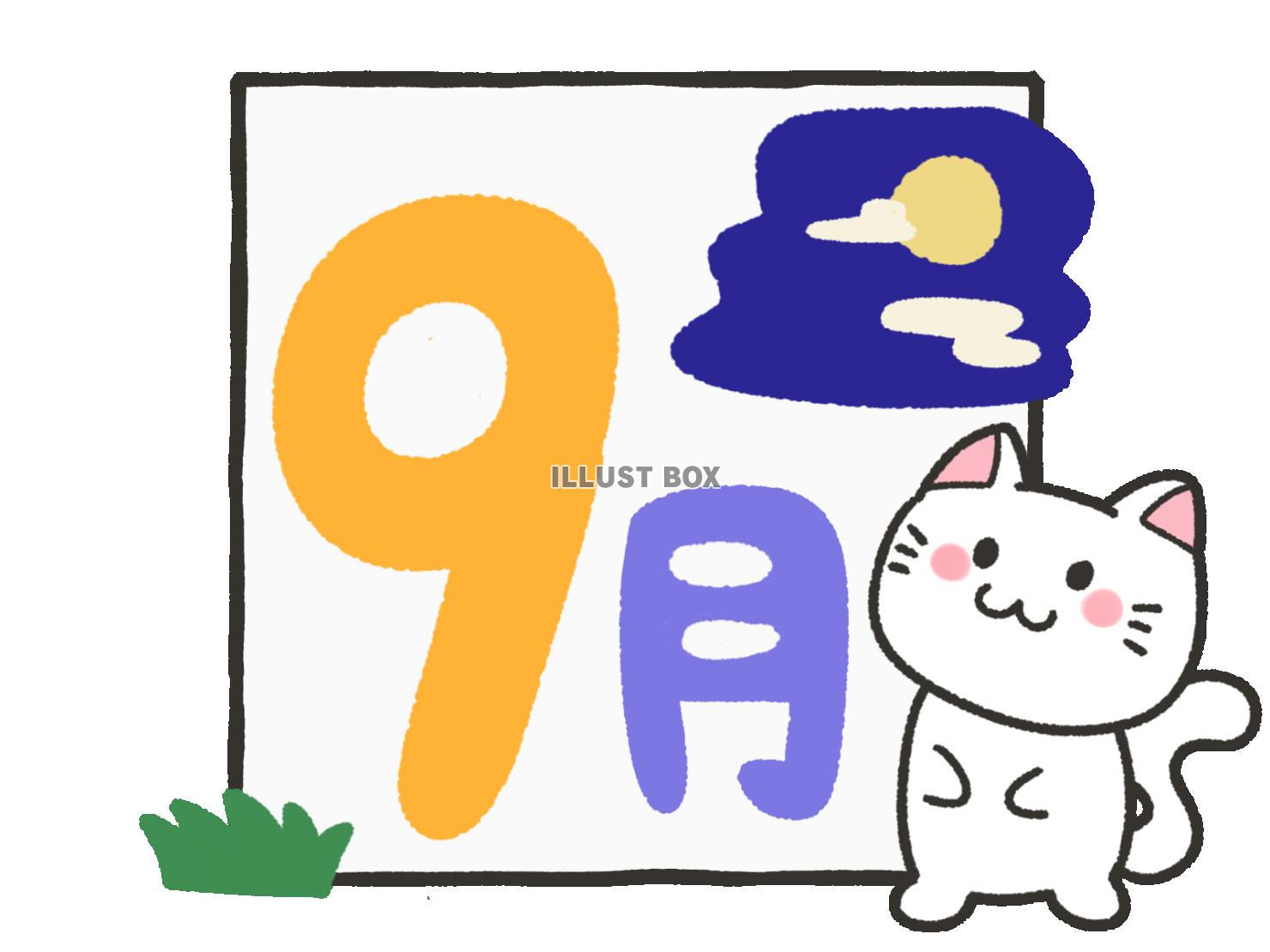 無料イラスト 猫と九月の文字