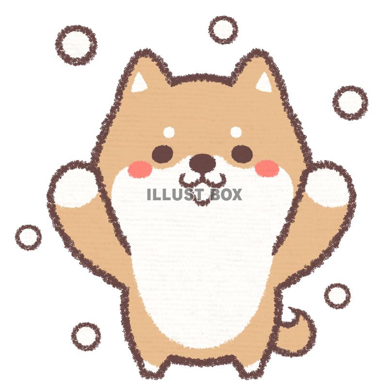 柴犬 イラスト無料