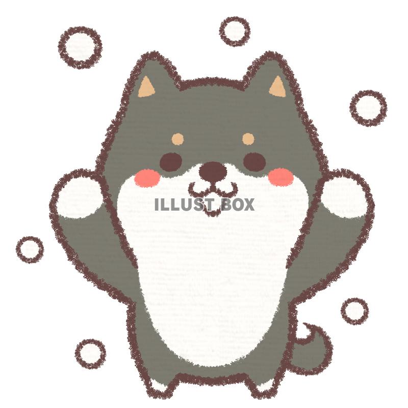 いろいろ 柴犬 可愛い イラスト ゆるい 可愛い 柴犬 イラスト Freegbrjp