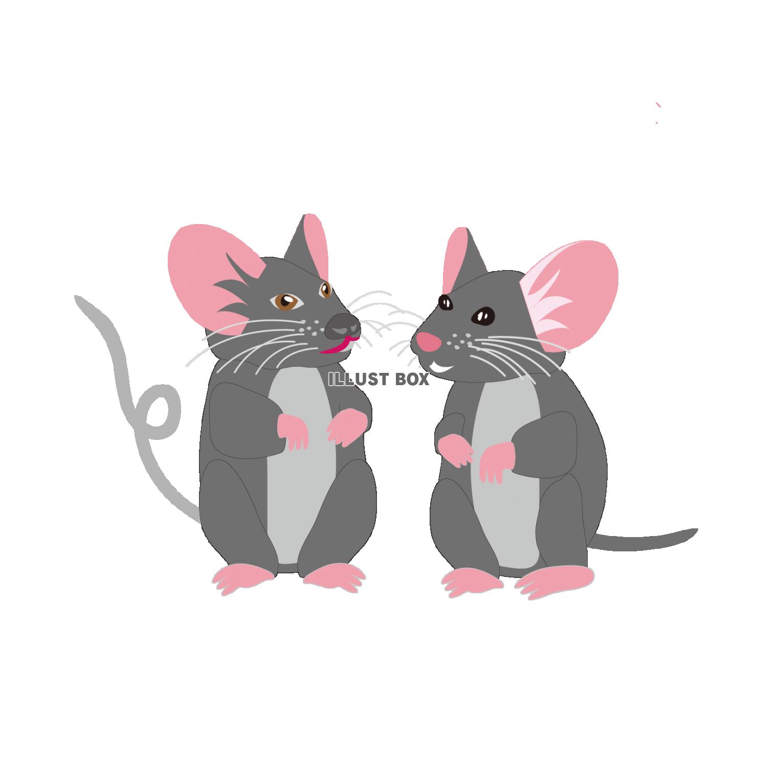 ネズミの可愛いイラスト　2020年子年の年賀状素材