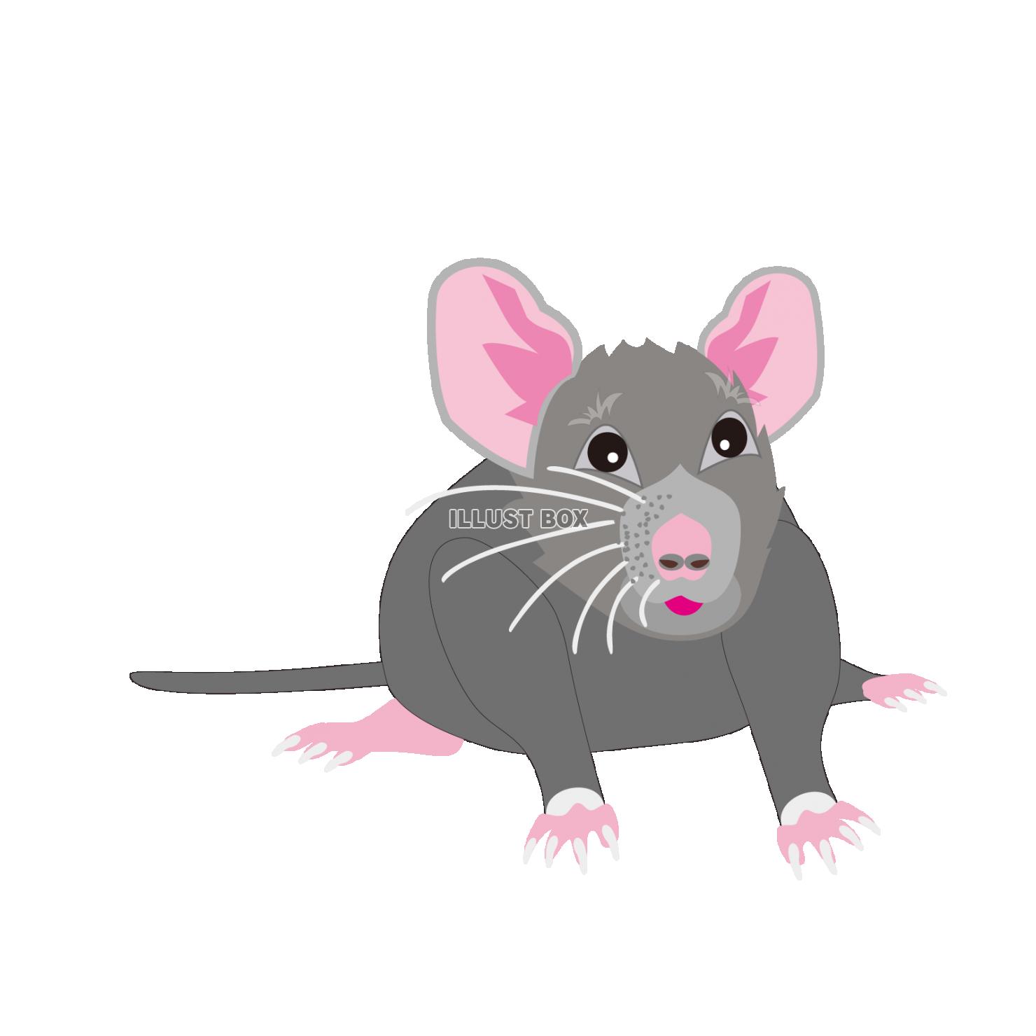 ネズミの可愛いイラスト　2020年子年の年賀状素材