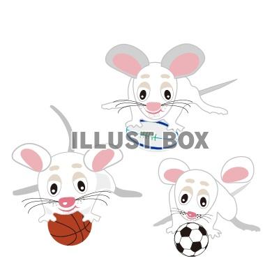 無料イラスト ラグビー サッカー バスケットネズミの可愛いイラスト年賀状素