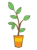 オレンジの鉢に植えられた観葉植物