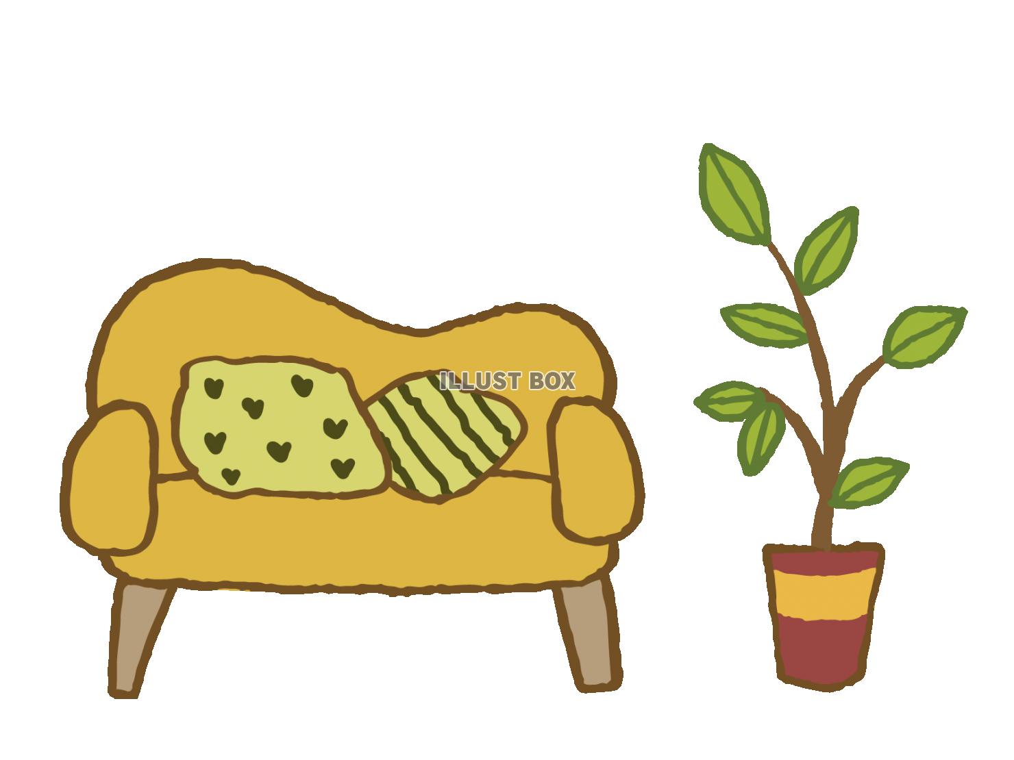 観葉植物とソファ&クッション