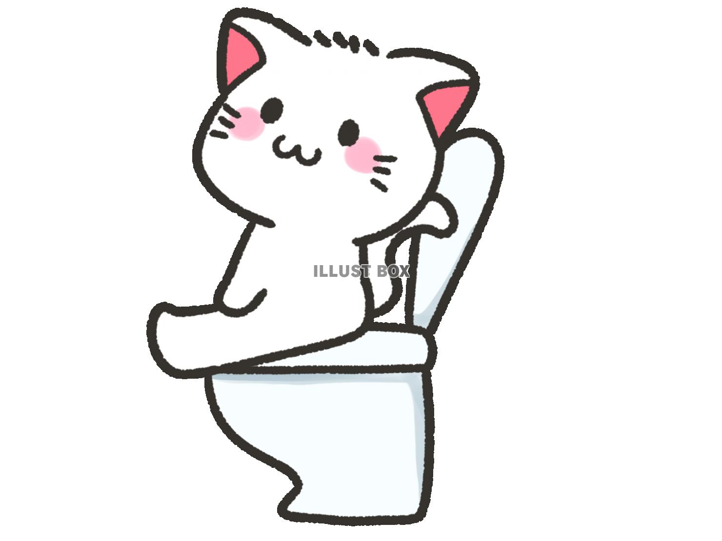 トイレに座る白猫