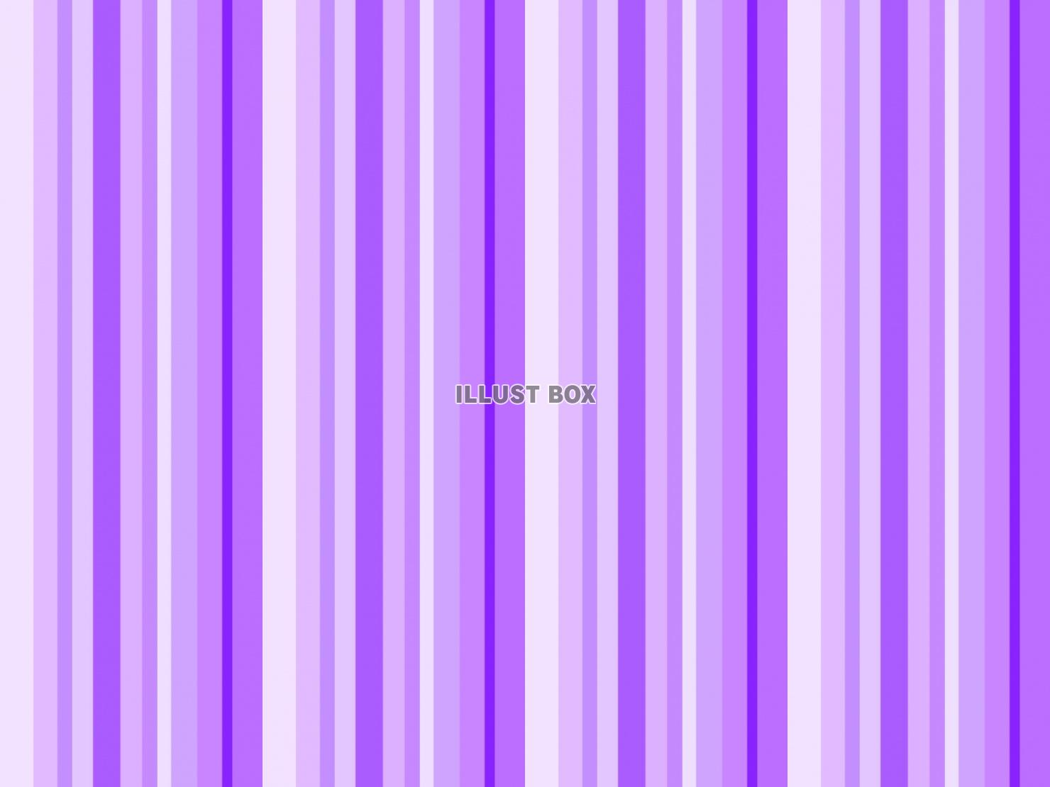 ランダムストライプ 紫