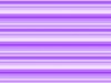 ランダムボーダー 紫