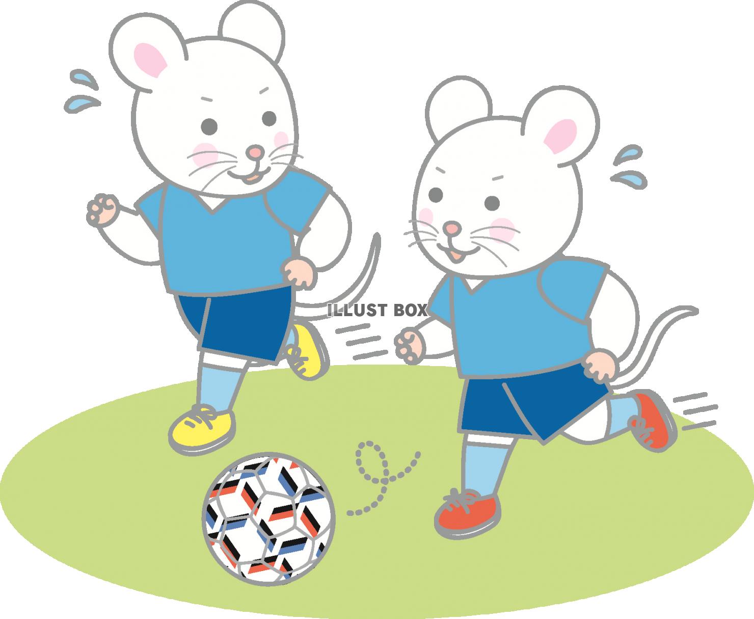 ねずみの男子サッカー