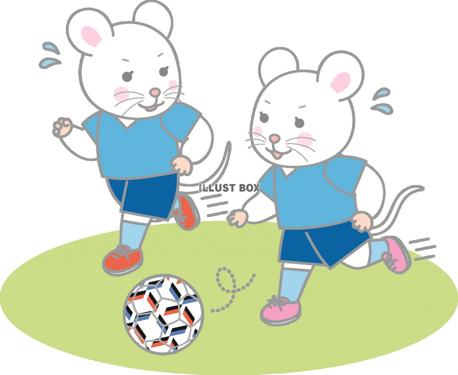 ねずみの女子サッカー