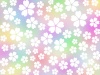 桜の花模様壁紙カラフル背景素材イラスト。ベクターあり