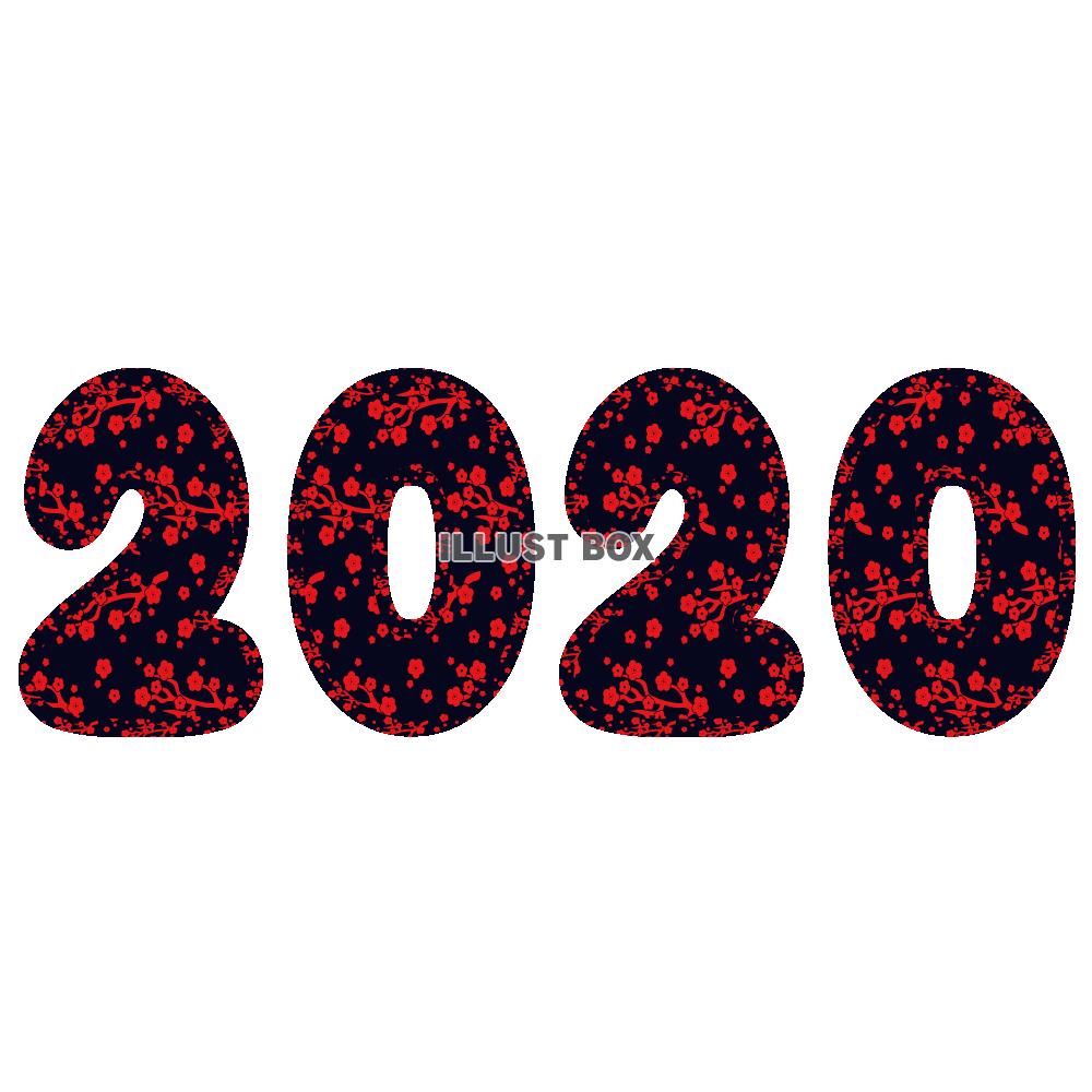 ふんわり和柄　2020ののワンポイント3