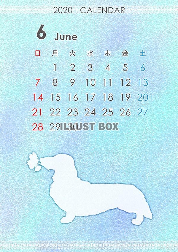 2020年シルエットカレンダー　犬　6月