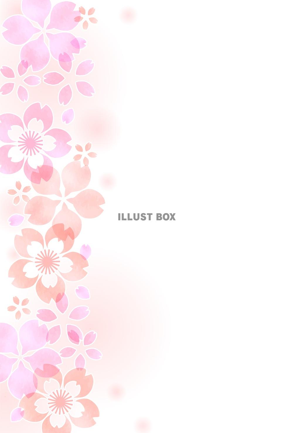 無料イラスト 桜のポストカード