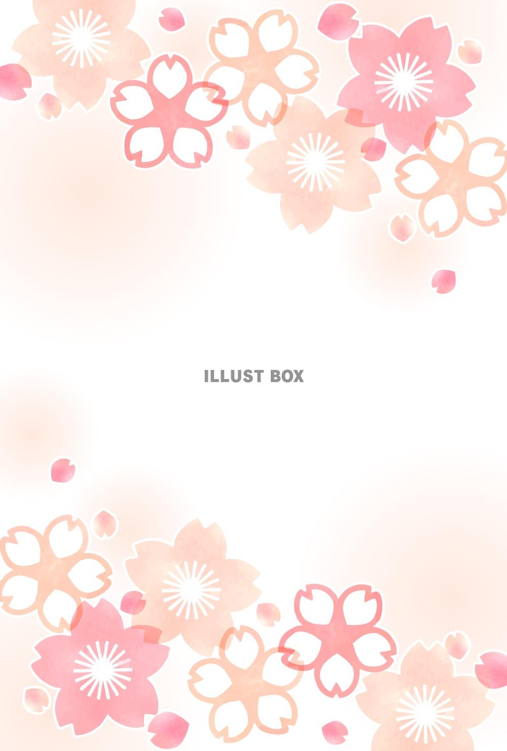 無料イラスト 桜のポストカード