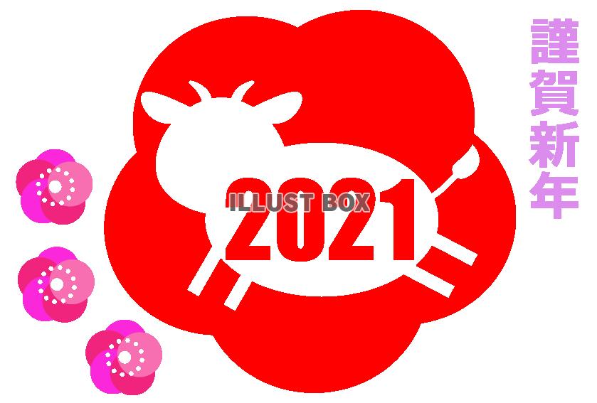 2021梅の花に牛のシルエットの謹賀新年年賀状