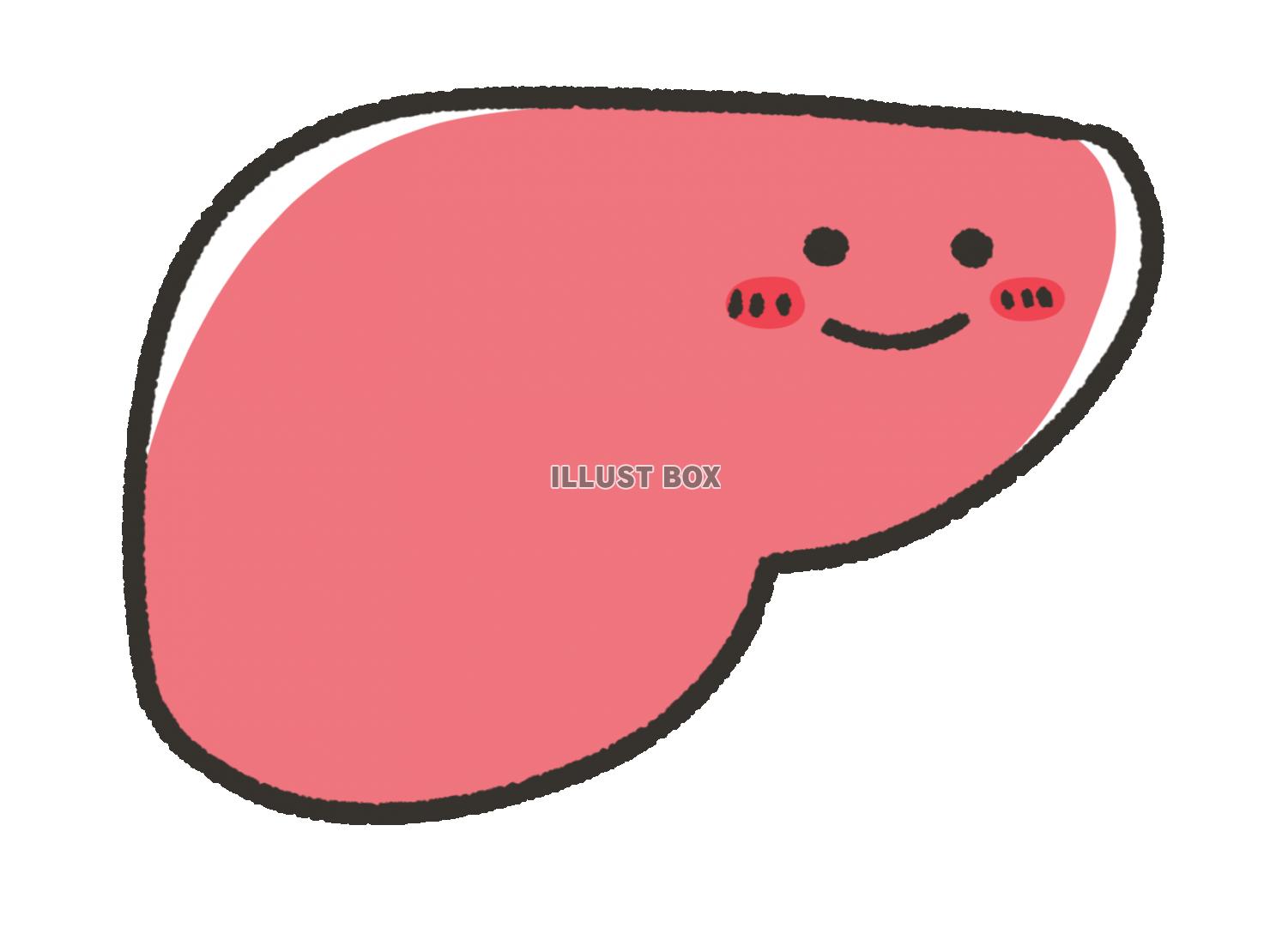 手描きの健康的な笑顔の肝臓
