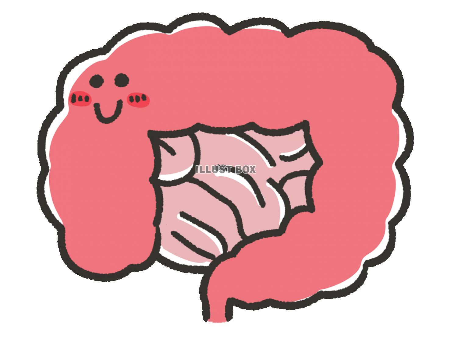 無料イラスト 手描きの健康的な笑顔の大腸 小腸