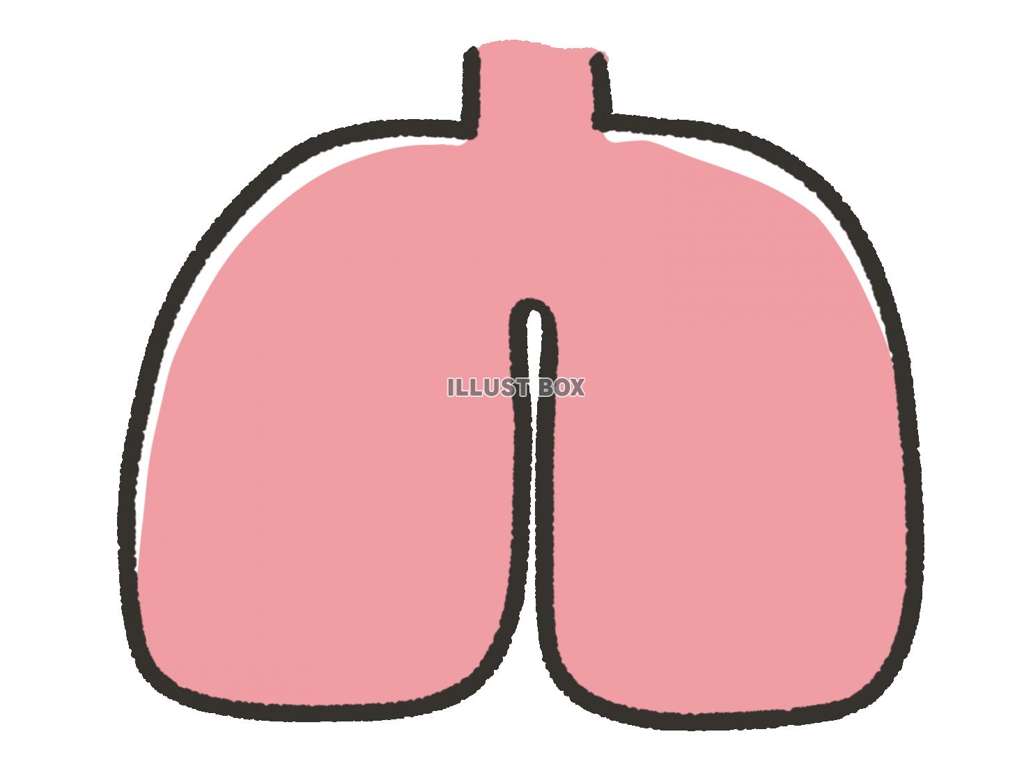 無料イラスト 手描きのシンプルな肺