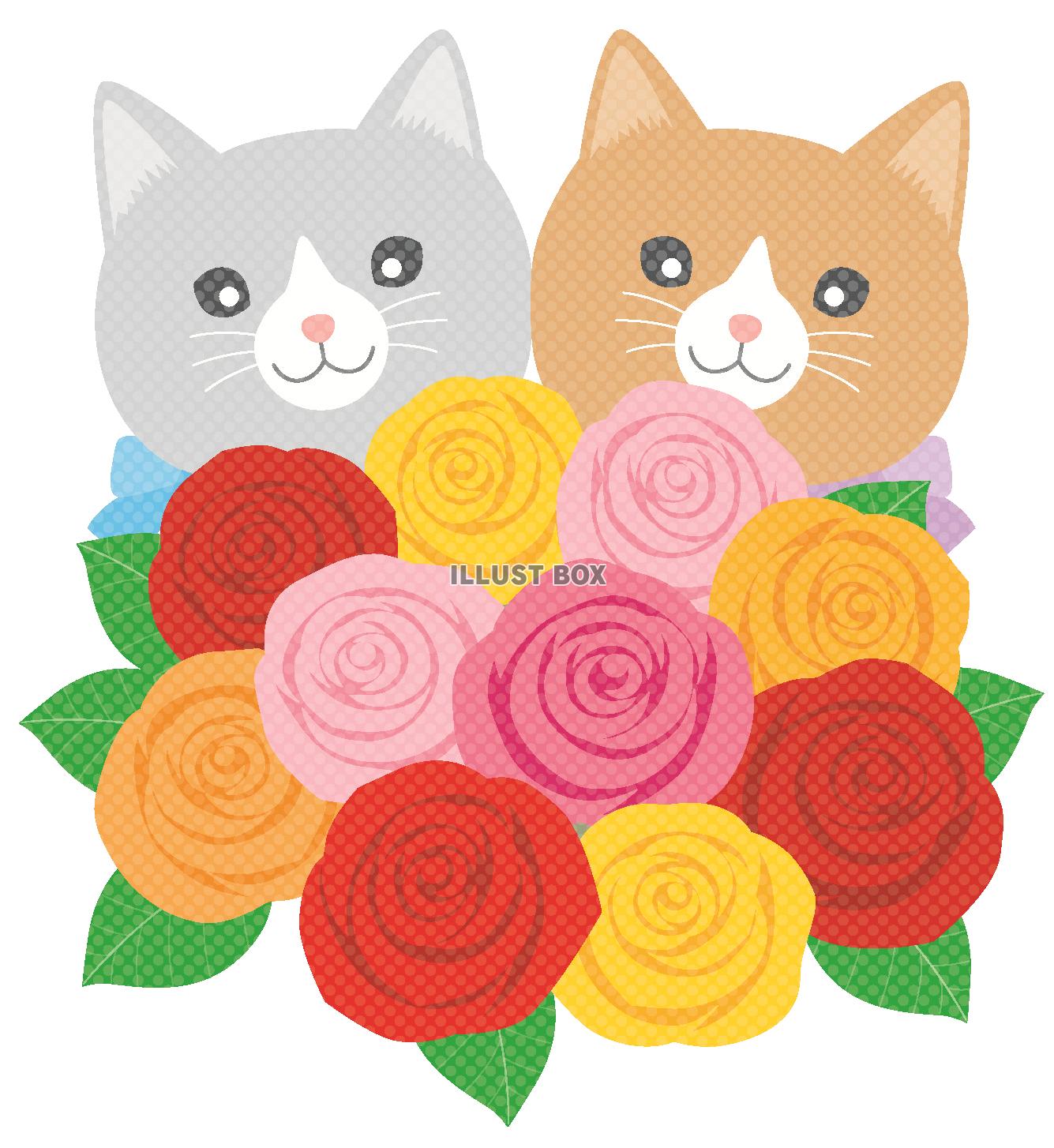 バラと２匹の猫のイラスト