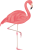 フラミンゴ