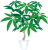 観葉植物 インテリア  パキラ