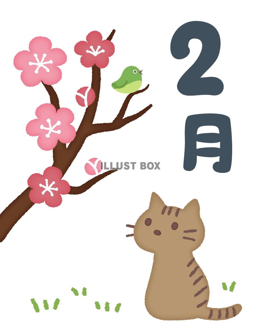無料イラスト 2月 猫と梅の花