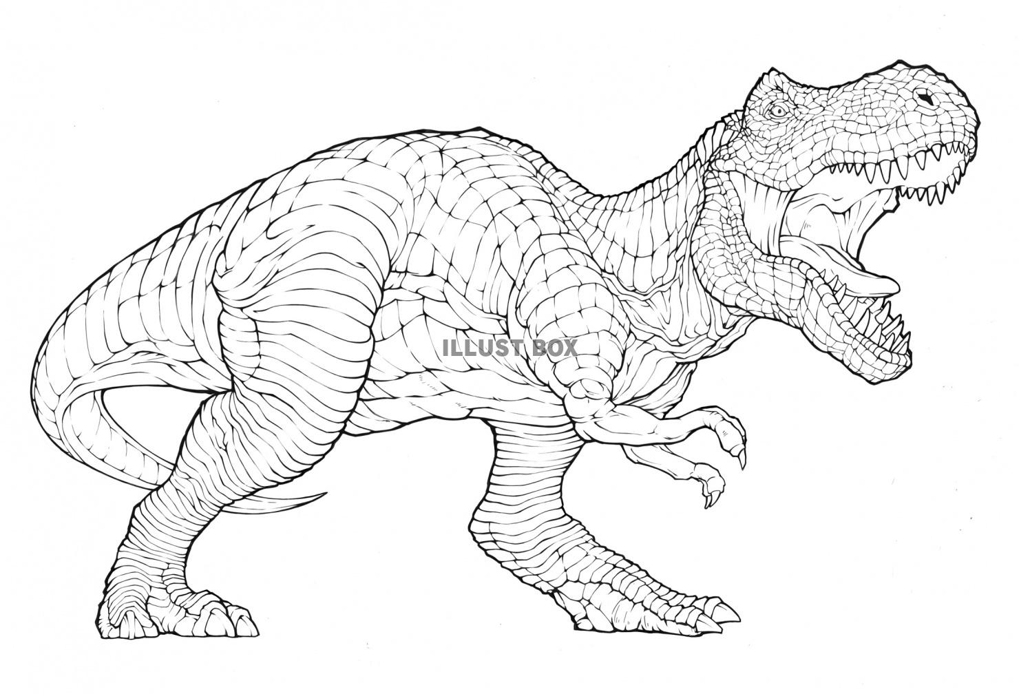 無料イラスト ティラノサウルス 塗り絵 線画