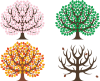 シンボリックな樹木　四季　春夏秋冬