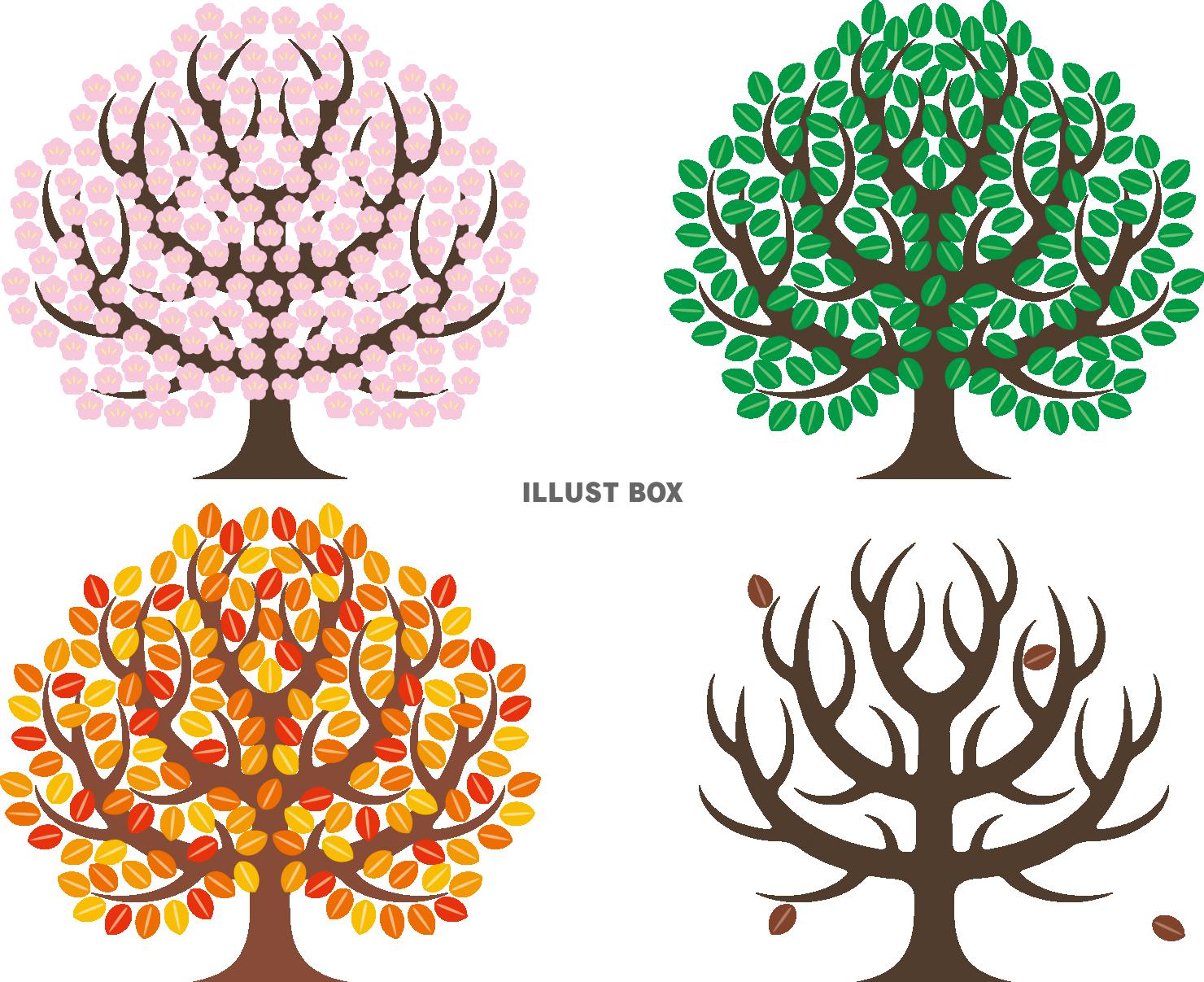シンボリックな樹木　四季　春夏秋冬