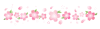 桜の花ラインイラスト