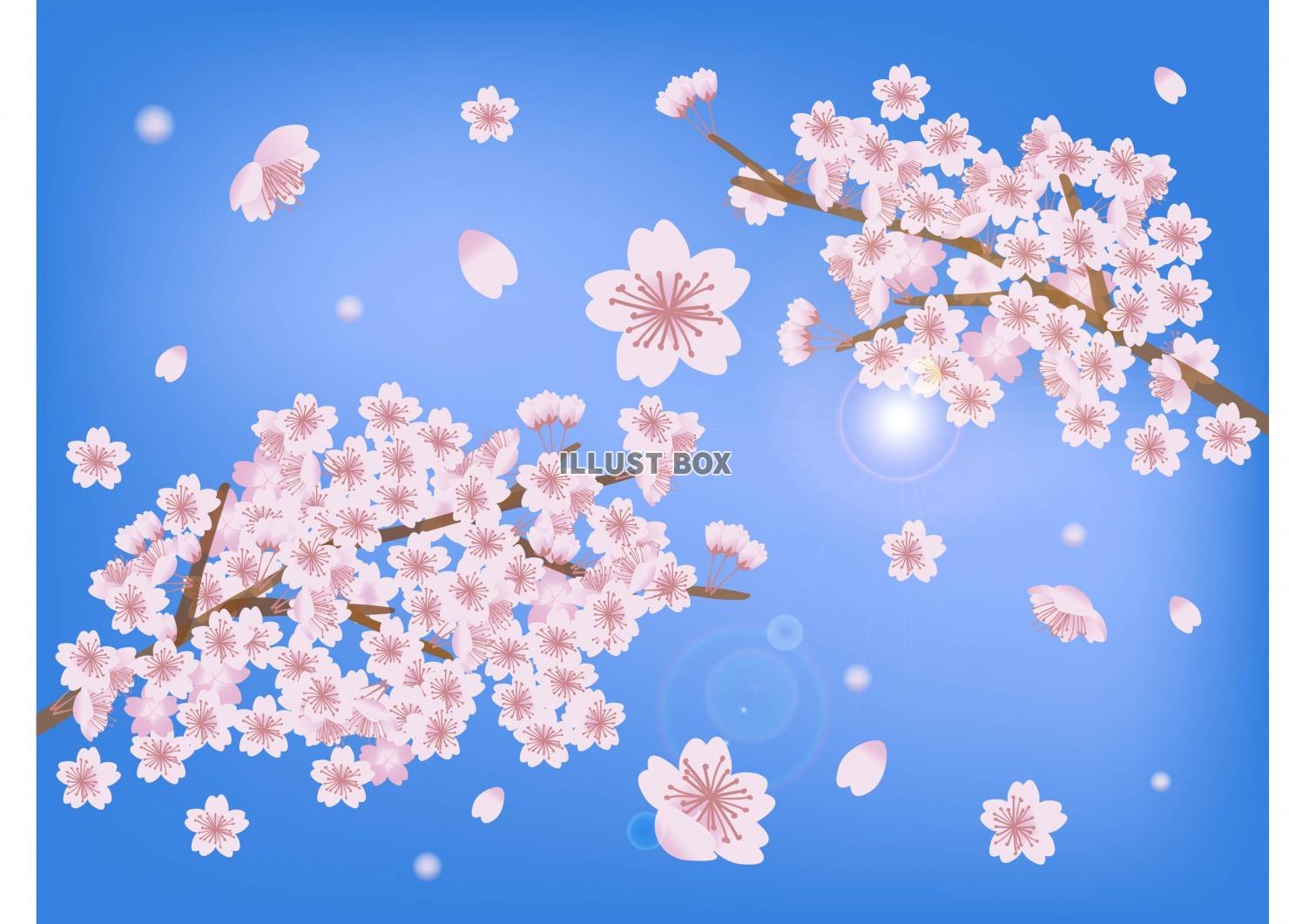 無料イラスト 下から見た桜