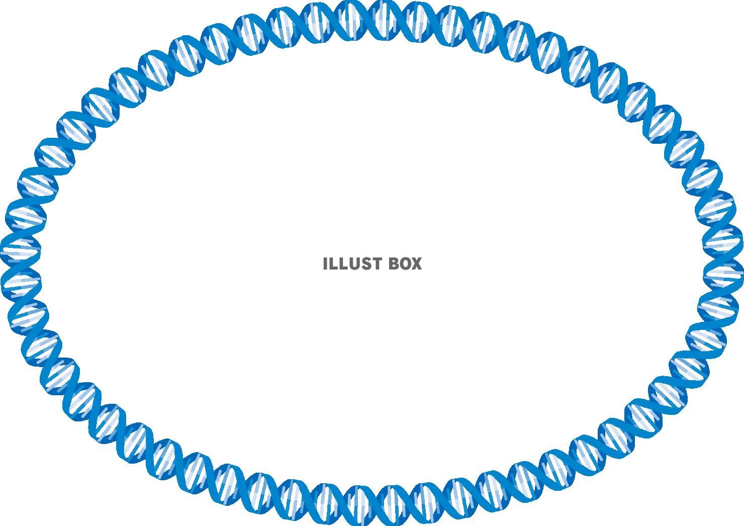 無料イラスト Dna 遺伝子 二重らせん フレーム