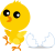 たまごから生まれたばかりのヒヨコ