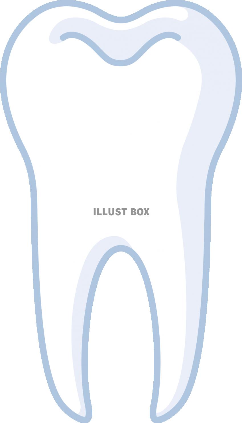 無料イラスト 歯