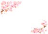 【桜】満開お花見フレーム02★透過PNG