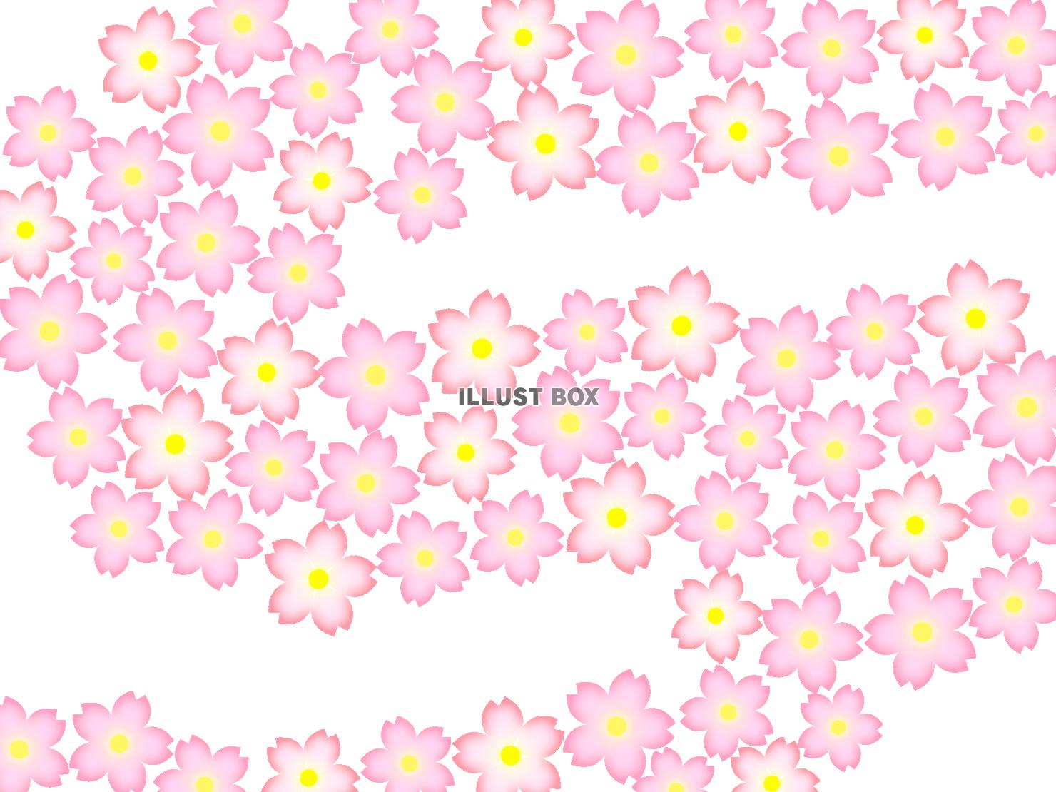 桜の花模様壁紙シンプル背景素材イラスト。透過PNG