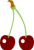 アメリカンチェリー
