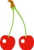 さくらんぼ　チェリー　桜桃