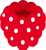 ラズベリー　フランボワーズ